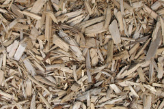 biomass boilers Tompkin